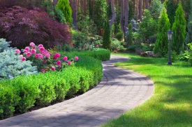 Commercial Landscaping in San Diego